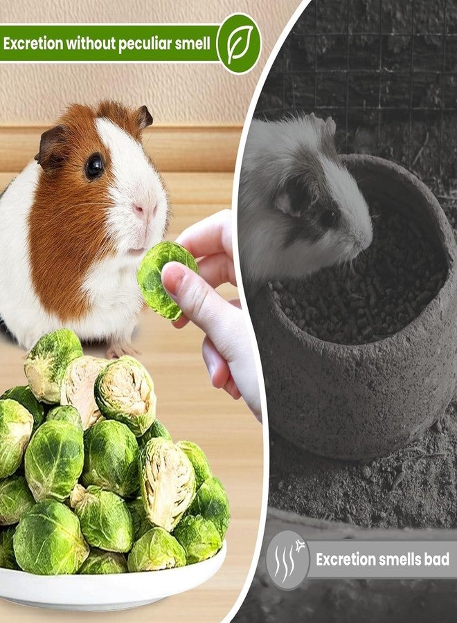 Tyotrbs Freeze Dried Brussels Sprouts Rabbit and Hamster Chew Treats Resealable Jar for Hamsters Bunny Guinea Pigs Groundhogs Natural Fiber Vitamin Snacks Hamsters, Chinchillas (L/ 4.24oz) - Image 3